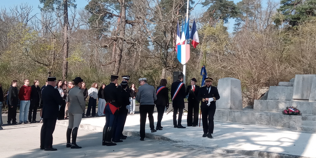 Consulter cet article